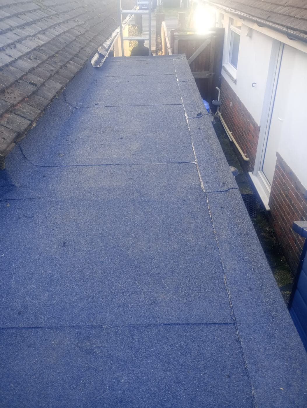 Completed grey mineral felt flat roof in low sun, ladder at the far end