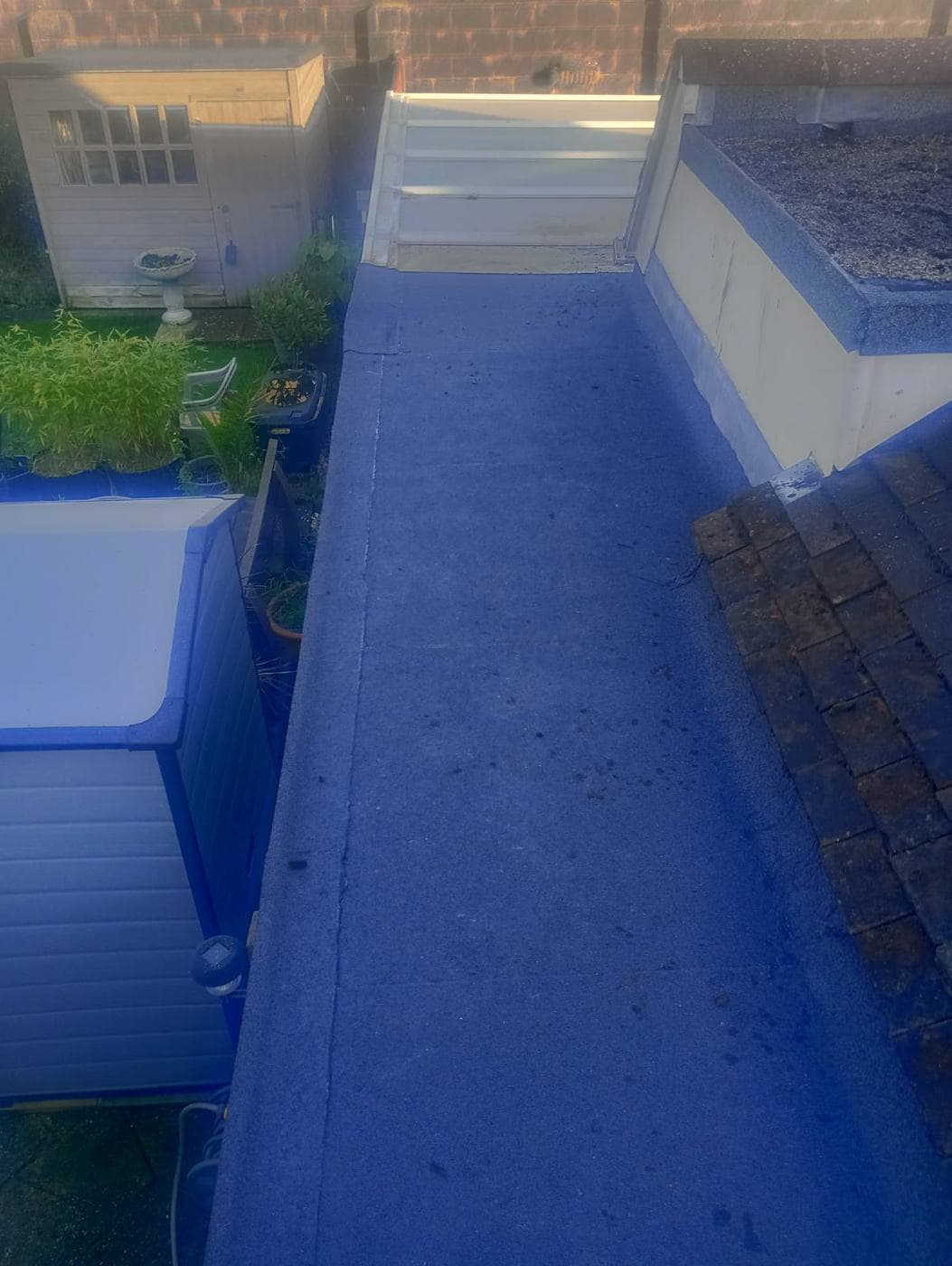 Finished felt flat roof with white trim, garden shed and shrubs beyond