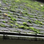 gutter cleaning South London