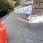 Flat roof repair Bromley